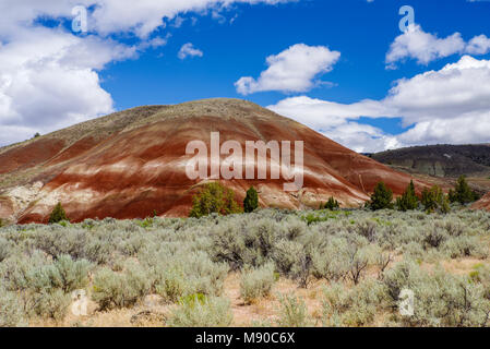 Die Painted Hills von Oregon Farben anzeigen Erstellt von verschiedenen Schichten des Bodens über Äonen hinterlegt. John Day Fossil Beds, Mitchell, Oregon Stockfoto