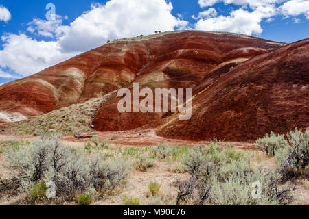 Die Painted Hills von Oregon Farben anzeigen Erstellt von verschiedenen Schichten des Bodens über Äonen hinterlegt. John Day Fossil Beds, Mitchell, Oregon Stockfoto