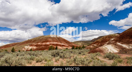 Die Painted Hills von Oregon Farben anzeigen Erstellt von verschiedenen Schichten des Bodens über Äonen hinterlegt. John Day Fossil Beds, Mitchell, Oregon Stockfoto