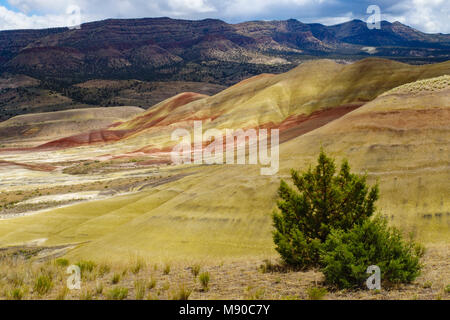 Die Painted Hills von Oregon Farben anzeigen Erstellt von verschiedenen Schichten des Bodens über Äonen hinterlegt. John Day Fossil Beds, Mitchell, Oregon Stockfoto