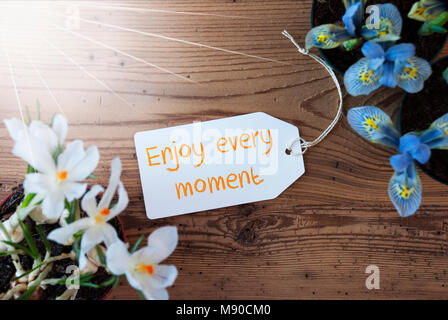 Sonnige Label mit englischen Angebot genießen jeden Augenblick. Frühling Blumen wie Traubenhyazinthen und Krokus. Alter Holz- Hintergrund Stockfoto