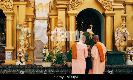 Junge Burmesee weibliche Mönche Shwedagon Pagode beten Stockfoto