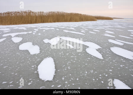 Gefrorenen See Neusiedlersee mit Reed in langweiligen und kalten Winter. Schneereiche Gebiete bilden regelmäßige Strukturen und Muster auf die Eisfläche. Stockfoto