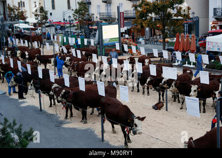 Die Landwirtschaft fair (Comice Agricole) von Saint-Gervais-les-Bains. Stockfoto