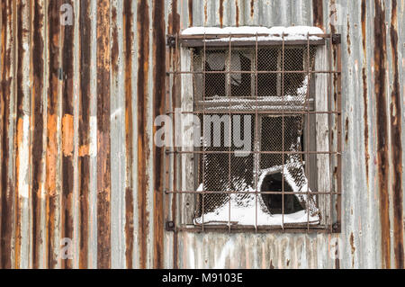 Rusty corregated Metall Wand mit Fenster aussortiert. Stockfoto