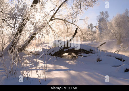 Schnee-bedeckten malerischen Windschutz, gegen die aufgehende Sonne mit einer Kirche im Hintergrund fotografiert. Stockfoto