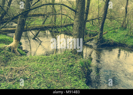 Vintage Foto von Baum zerbissen durch Biber über den Fluss im Wald Stockfoto