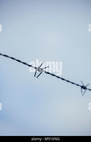 Stacheldraht auf blauen Himmel Hintergrund. Stockfoto