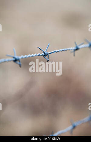 Barb wire, Nahaufnahme, selektiven Fokus. Stockfoto