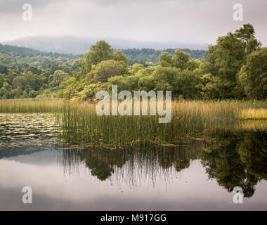 Loch Kinord Stockfoto