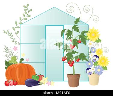 Ein Vektor Abbildung im EPS 10 Format einer Sommer Gewächshaus mit Blumen und Gemüse einschließlich Tomaten auf weißem Hintergrund Stock Vektor