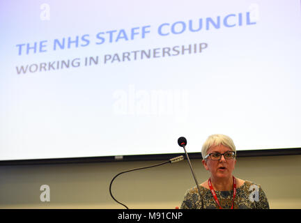 Josie Irwin, Associate Director der Arbeitsbeziehungen an der Königlichen Hochschule für Krankenpflege (RCN), spricht bei einem Treffen von Unison Head Office in London, wo die Gewerkschaftsführer, die NHS Arbeitnehmer die Annahme einer kostenpflichtigen Angebot von zwischen 6,5% und 29% in drei Jahren empfohlen. Stockfoto