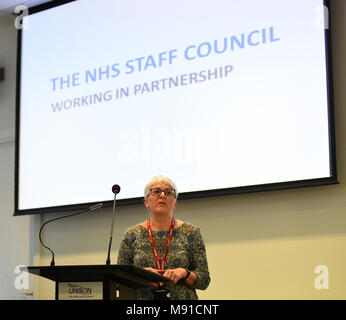 Josie Irwin, Associate Director der Arbeitsbeziehungen an der Königlichen Hochschule für Krankenpflege (RCN), spricht bei einem Treffen von Unison Head Office in London, wo die Gewerkschaftsführer, die NHS Arbeitnehmer die Annahme einer kostenpflichtigen Angebot von zwischen 6,5% und 29% in drei Jahren empfohlen. Stockfoto