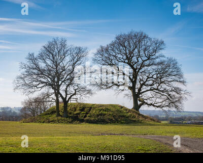 Die Appledore Runde Barrow, Appledore, Kent, Großbritannien Stockfoto