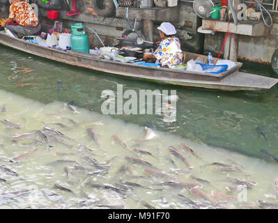 Bang Namphueng Floating Market in Bangkok, Thailand Stockfoto