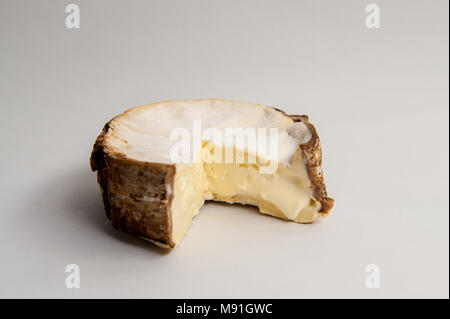 Du Vacherin Mont d'Or ist eine klebrige reichen und mächtigen Kuhmilch Käse aus der Französischen Alpen. Stockfoto