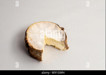 Du Vacherin Mont d'Or ist eine klebrige reichen und mächtigen Kuhmilch Käse aus der Französischen Alpen. Stockfoto