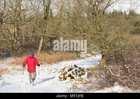 Ein Mann beim Spaziergang mit Skistöcken während das Tier aus dem Osten Schneefall und Frost auf warton Crag, nr carnforth Lancashire, Großbritannien Stockfoto