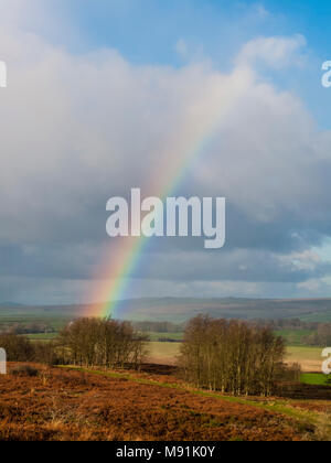 Rainbow von Hardy Denkmal auf Blackdown in der Nähe von Weymouth Stockfoto