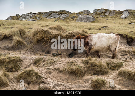 Bosta Strand auf der Insel Lewis auf den Äußeren Hebriden. Stockfoto