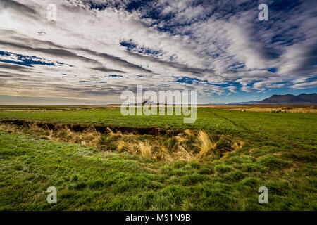 Schafe weiden, Borgarfjordur, Halbinsel Snaefellsnes, Island. Stockfoto