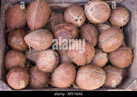 Kokosnuss Frucht in einer Holzbox Früchte Hintergrund braun natürlichen tropischen Hintergrund Farmers Market Tageslicht Fotografie Stockfoto