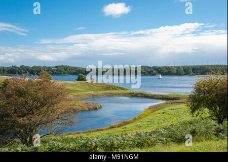 Landschaft mit dem Stuelper Huk am Dummersdorfer Ufer, Ostsee, Dummersdorf, Schleswig-Holstein, Deutschland, Europa Stockfoto