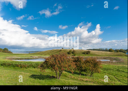 Landschaft mit dem Stuelper Huk am Dummersdorfer Ufer, Ostsee, Dummersdorf, Schleswig-Holstein, Deutschland, Europa Stockfoto