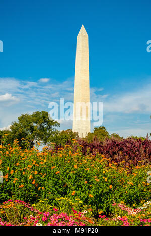 Washington Monument von West Potomac Park, National Mall in Washington DC Stockfoto