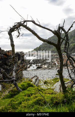 Der südafrikanischen Küste entlang der Start der Otter Trail in Tsitsikamma National Park, Südafrika Stockfoto