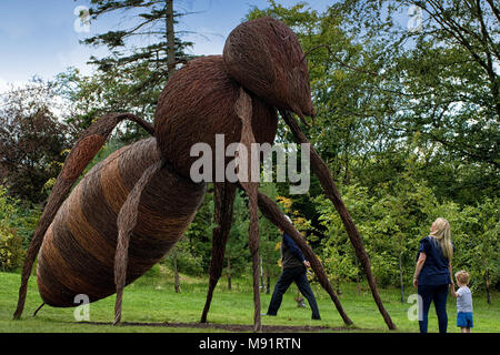 Riesen Biene Willow, Bildhauerei an RHS Garden Harlow Carr, Harrogate, North Yorkshire, England. Stockfoto