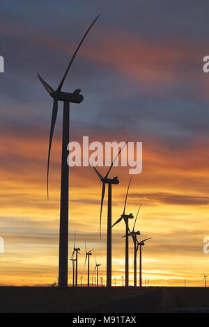 Windmill Farm entlang der östlichen Ebenen, Colorado auf Sonnenuntergang Stockfoto
