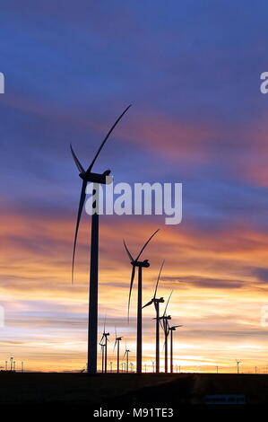 Windmill Farm entlang der östlichen Ebenen, Colorado auf Sonnenuntergang Stockfoto