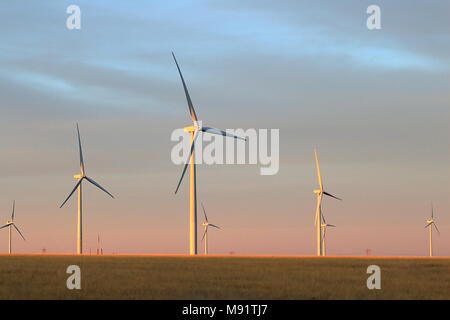 Windmill Farm entlang der östlichen Ebenen, Colorado auf Sonnenuntergang Stockfoto