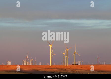 Windmill Farm entlang der östlichen Ebenen, Colorado auf Sonnenuntergang Stockfoto