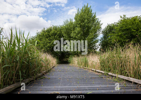 Rainham, UK. 19 Mai, 2017. Rainham Marshes ist ein Bereich der mittelalterlichen Moor auf die Mündung der Themse verwaltet als Naturschutzgebiet seit 2000 von der RSPB Stockfoto