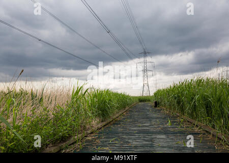 Rainham, UK. 19 Mai, 2017. Rainham Marshes ist ein Bereich der mittelalterlichen Moor auf die Mündung der Themse verwaltet als Naturschutzgebiet seit 2000 von der RSPB Stockfoto