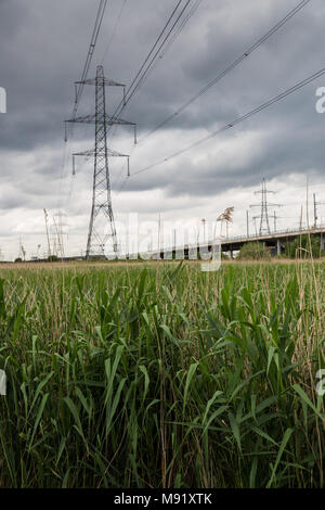 Rainham, UK. 19 Mai, 2017. Rainham Marshes ist ein Bereich der mittelalterlichen Moor auf die Mündung der Themse verwaltet als Naturschutzgebiet seit 2000 von der RSPB Stockfoto