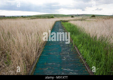 Rainham, UK. 19 Mai, 2017. Rainham Marshes ist ein Bereich der mittelalterlichen Moor auf die Mündung der Themse verwaltet als Naturschutzgebiet seit 2000 von der RSPB Stockfoto