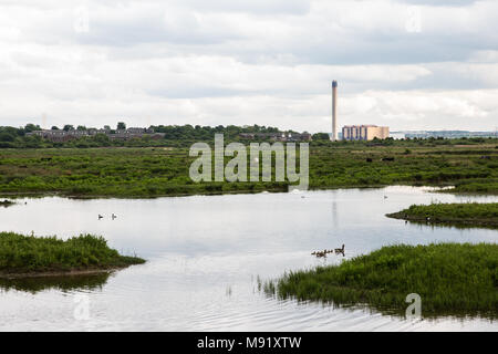 Rainham, UK. 19 Mai, 2017. Rainham Marshes ist ein Bereich der mittelalterlichen Moor auf die Mündung der Themse verwaltet als Naturschutzgebiet seit 2000 von der RSPB Stockfoto