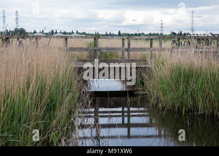 Rainham, UK. 19 Mai, 2017. Rainham Marshes ist ein Bereich der mittelalterlichen Moor auf die Mündung der Themse verwaltet als Naturschutzgebiet seit 2000 von der RSPB Stockfoto