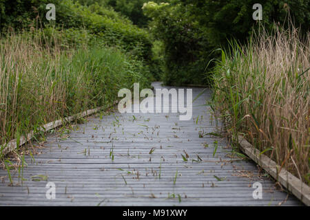 Rainham, UK. 19 Mai, 2017. Rainham Marshes ist ein Bereich der mittelalterlichen Moor auf die Mündung der Themse verwaltet als Naturschutzgebiet seit 2000 von der RSPB Stockfoto