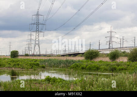 Rainham, UK. 19 Mai, 2017. Rainham Marshes ist ein Bereich der mittelalterlichen Moor auf die Mündung der Themse verwaltet als Naturschutzgebiet seit 2000 von der RSPB Stockfoto