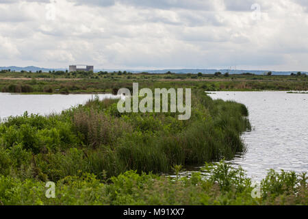 Rainham, UK. 19 Mai, 2017. Rainham Marshes ist ein Bereich der mittelalterlichen Moor auf die Mündung der Themse verwaltet als Naturschutzgebiet seit 2000 von der RSPB Stockfoto