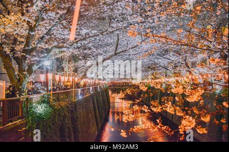 Tokyo, Tokio, China. 22 Mär, 2018. Nacht Landschaft von Kirschblüten in Meguro Fluss in Tokio, Japan. Die meguro River (Meguro-gawa) ist ein Fluss fließt durch Tokio, Japan. Die Ufer sind umfassend angelegten und fungieren als städtischer Grünflächen für die Gemeinden entlang seiner Länge. Der Fluss ist ein beliebter Veranstaltungsort für die Kirschblüte im Frühling. Credit: SIPA Asien/ZUMA Draht/Alamy leben Nachrichten Stockfoto