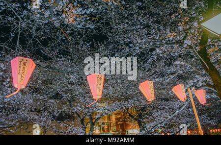 Tokyo, Tokio, China. 22 Mär, 2018. Nacht Landschaft von Kirschblüten in Meguro Fluss in Tokio, Japan. Die meguro River (Meguro-gawa) ist ein Fluss fließt durch Tokio, Japan. Die Ufer sind umfassend angelegten und fungieren als städtischer Grünflächen für die Gemeinden entlang seiner Länge. Der Fluss ist ein beliebter Veranstaltungsort für die Kirschblüte im Frühling. Credit: SIPA Asien/ZUMA Draht/Alamy leben Nachrichten Stockfoto