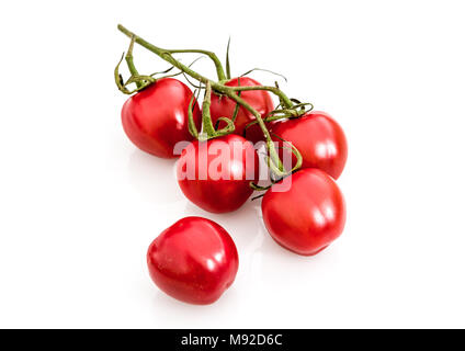 6 Strauchtomaten auf einem weißen Hintergrund. Stockfoto