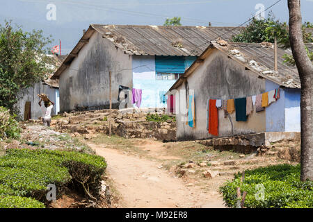 Häuser Tee Plantage der Arbeitnehmer auf dem Periakanal Immobilien in der Nähe von Munnar, Kerala, Indien. Stockfoto