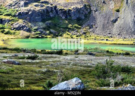 Kleine grüne See in einem Tal in ein Gipfel der Chugach Mountains über Anchorage, Alaska auf Wanderweg gefunden. Stockfoto