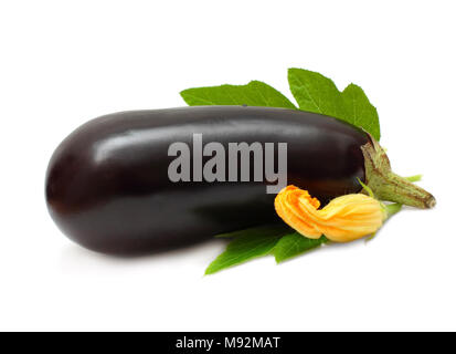 Aubergine isoliert - Gemüse auf Weiß Stockfoto